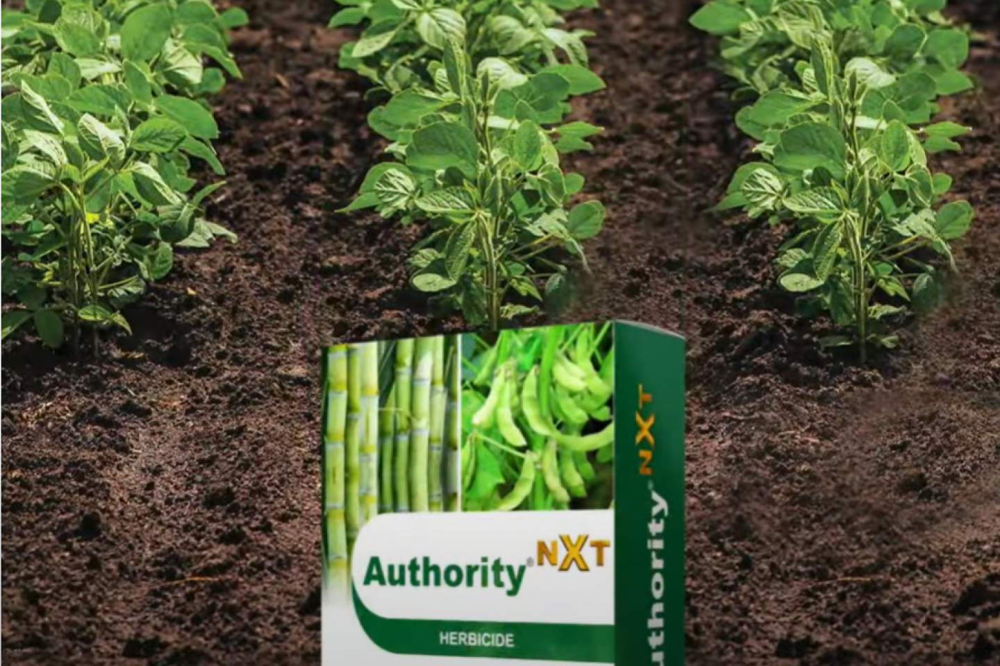 autority nxt box and crops