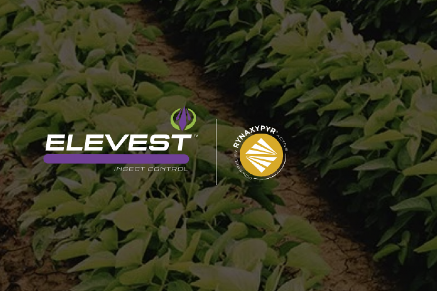 elevest control icon over row crops